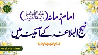 امام زمانہ (عج) نہج البلاغہ کے آئینہ میں